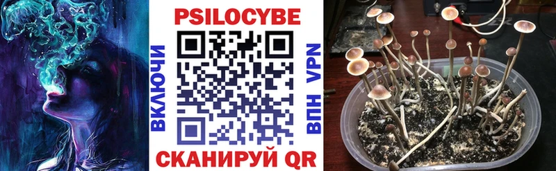 Галлюциногенные грибы мухоморы  Сортавала 